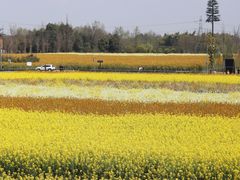 -中国天府农业博览园