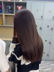 -藤野造型