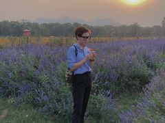 -北京东方普罗旺斯薰衣草庄园