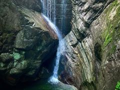 -牛背梁国家森林公园