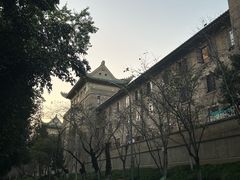 -武汉大学-樱园