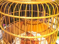 -胡桃里音乐酒馆(环亚凯瑟琳广场店)