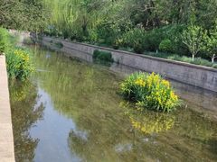 -元大都城垣遗址公园