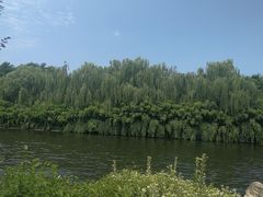 -西安汉城湖景区