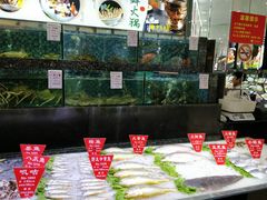 -宝燕壹号(徐汇店)