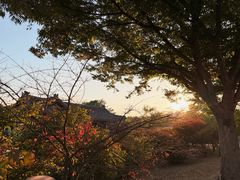 -景福宫
