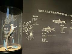 -中国湿地博物馆