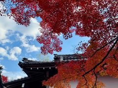 -常寂光寺