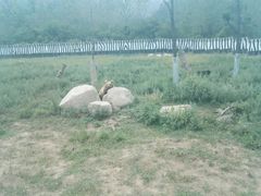 -西安秦岭野生动物园