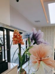 -魔型社烫染店