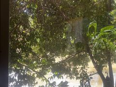 -生态苑农庄(十里画廊遇龙河店)