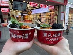 -黑色经典臭豆腐·湖南特产(坡子街店)