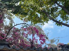 -深圳国际园林花卉博览园