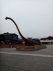 -恐龙探索乐园(磁器口店)
