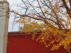 -北京石刻艺术博物馆(五塔寺)