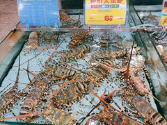 龙虾-渔民新村(番禺总店)