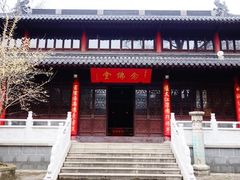 -灵谷景区