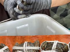 -阳澄湖大闸蟹·琼灵阁牌品牌连锁(吴中总店)