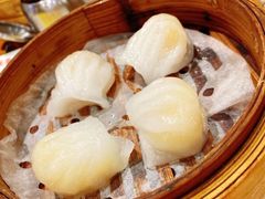陈光记虾饺-澳门陈光记烧味饭店(南京德基广场店)