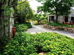 -田园东方蜜桃村的田野营地