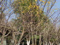 -白塘生态植物园