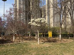 -燕郊植物园