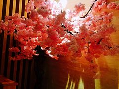 -紫· 割烹  Kappo Murasaki