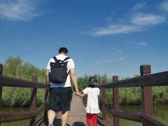 -西青郊野公园