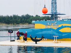 -秦皇岛乐岛海洋王国