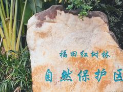 -深圳湾公园(南山区)