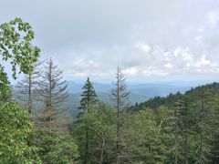 -凤凰山国家森林公园