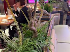 -老板恋上鱼(恒隆广场店)