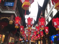 -沈大成(城隍庙店)