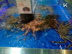 -盒马X会员店(王府井奥莱UP TOWN店)