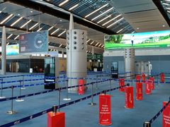 -西沃古尔·拉姆古兰爵士国际机场