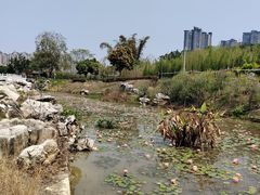 -广西壮族自治区药用植物园