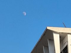 -浙江越秀外国语学院