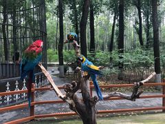 -北京野生动物园