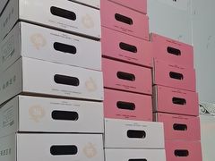 -老袁家蜜桃农场·阳山水蜜桃