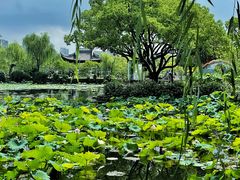 -无锡蠡湖国家湿地公园-蠡园