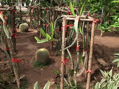 -万源龙顺度假庄园生态观光园