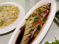清蒸岛子鱼-掌勺人鱼馆(朝阳镇店)