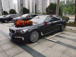 -蚂蚁婚车