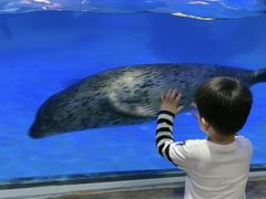-合肥海洋世界