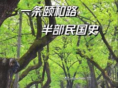 -颐和路民国时期公馆风貌区