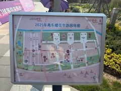 -高东镇樱花园