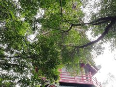 -南沙天后宫景区
