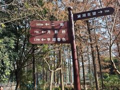 -重庆彩云湖湿地公园