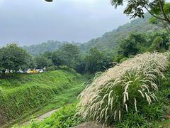 -大雁山风景区