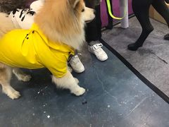 -东浩兰生上海世博展览馆